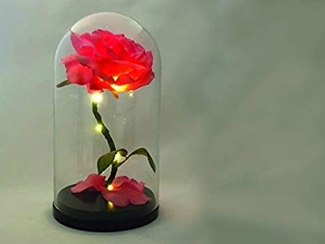 ROSA ENCAPSULADA PEQUE&Ntilde;A CON LUZ